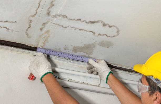 Reliable Mold Remediation contractor in El Cerrito, CA by Water Damage Irwin